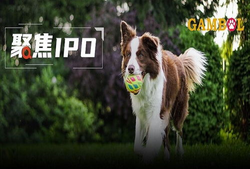 乖寶寵物境外重大訴訟懸而未決，利潤空間受境內外雙重擠壓，寵物食品銷售困局待解